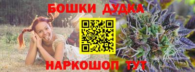 индика Усть-Джегута