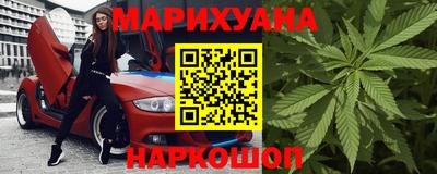 индика Усть-Джегута