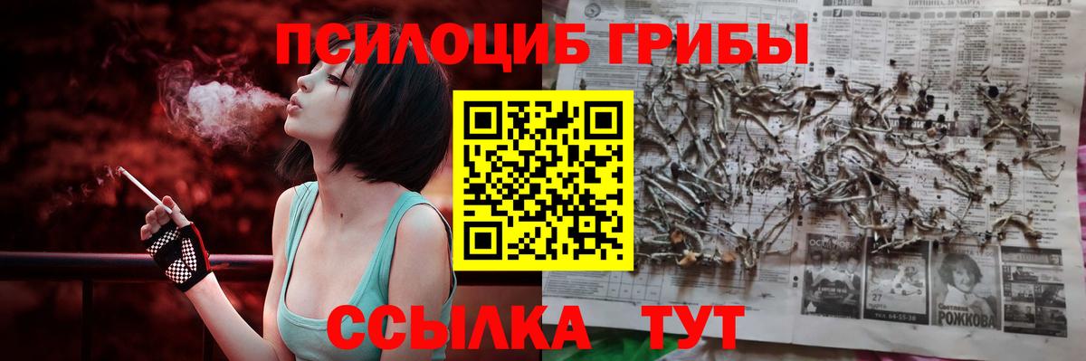 Псилоцибиновые грибы мицелий  Вход с VPN  купить закладку  Лосино-Петровский 