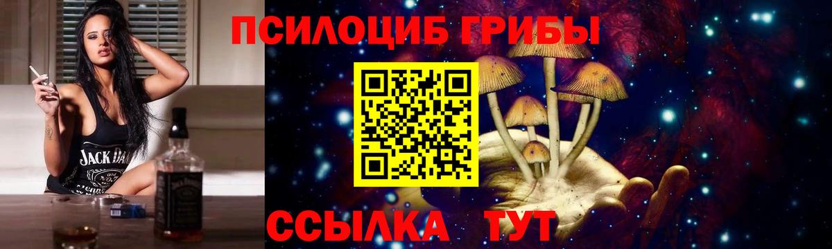 Галлюциногенные грибы Psilocybine cubensis Лосино-Петровский
